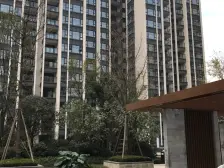 龙樾熙城 3室1厅 东南