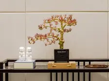 两路空港 桃李郡三房87万