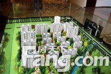 中海柏樾府,高层,四开间朝南,采光视野好