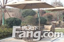 书香尚城 电梯洋房 好楼层 证过二 随时看房