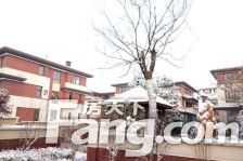 位置好,出行方便,小区环境好,户型方正