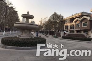 凤凰新城 天景美地 纯洋房别墅区 不临街 不把边