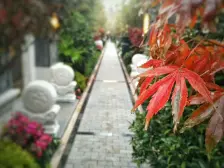 照母山 碧桂园中俊天玺三房930万