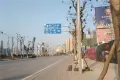 阳光·巨林·天下城交通图