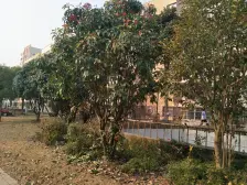 ? 珍藏版中层两房 ?侘寂底色? 500米信步万达地铁口