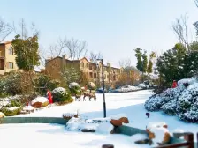 红溪谷别墅 双气 园林景观丰富 正商一级物业