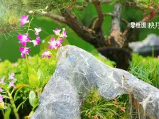 此房是边位,地下室比较大。旁边就是萧亚湖