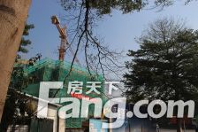 小天才旁 vivo边上 总价低 复式两层 装修新