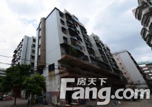 荷城城区实用三房,地段交通生活便利!