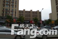 楼层好,视野开阔,交通方便,购物方便,拎包入住