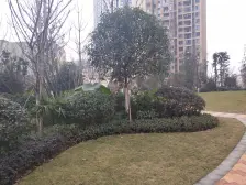 龙洲湾 佳兆业广场三房63万