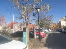 大花园,毛坯,尽享居住奢华乐趣,彰显尊贵安居品质