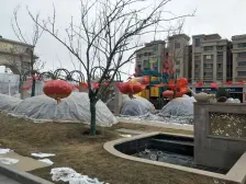 大别墅,大院子,田园惬意般的生活