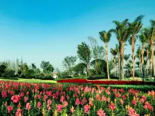 蓝光长岛国际一期 4室2厅 东南