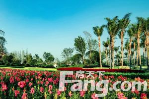 蓝光长岛国际一期 4室1厅 南