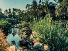 蓝光长岛国际一期 4室2厅 北