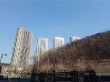 绿城品质小区,精装修四室两卫,楼层好视野佳,可观海