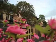 黄江班芙春天127平3房2卫,交通方便,花园式小区