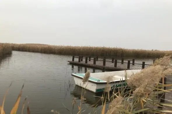 碧桂园·凤凰生态城实景图