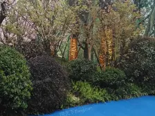 蓝光林肯公园一期观澜府 南北通透,采光好 视野好,诚心出售