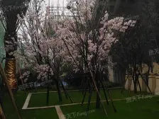 瑶湖东地铁300米 蓝光尚锦府 花园洋房大四房