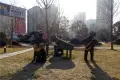 碧桂园·凤凰湾|凤栖台活动现场