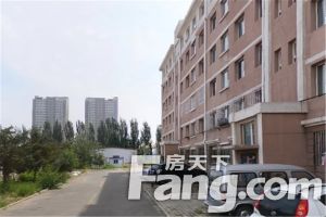 精装 三居国标 楼层好 采光充足 南北通透