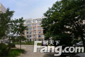 国标地暖落地窗大三居室采光无遮挡