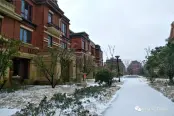 小区雪景图