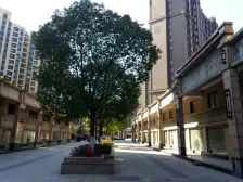 电梯房,主卧朝南,交通便利,精装修,刚需好房