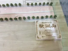 龙洲湾 协信敬澜山二房116万