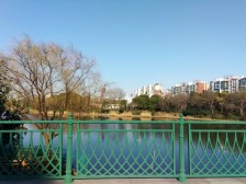 中建大公馆6室南朝向6888.00万元/套出售