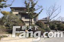 墅区洋房 层次佳 166大四房 大阳台