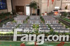 近北大街地铁口高架口纯别墅洋房高品质小区