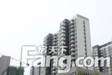 位置好,户型好,采光好,靠河边