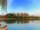 锦悦华庭