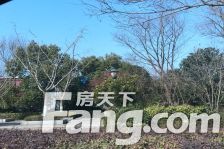 正泰江岸水苑 1室0厅 南