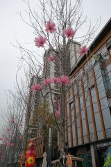 永立龙寓 2室1厅 东南