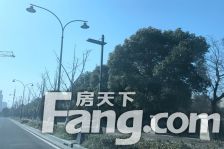 正泰江岸水苑1室1厅西南