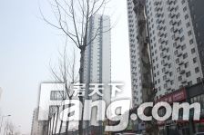 金雀新城B区 3室2厅 南