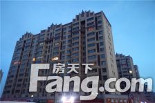 滨江国际 精装修 楼层好 采光好 有本配贷