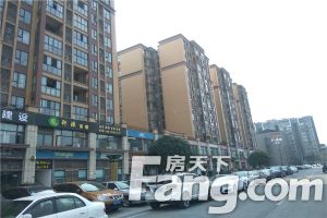 佳兆业8号君樾4室2厅北