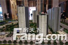 碧桂园海德公园 3室1厅 南