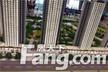 碧桂园海德公园 4室2厅 南 北