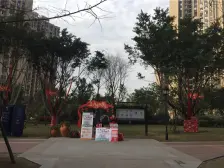 双碑 精装 两房 户型方正 看中庭