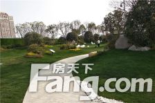 碧桂园海德公园 4室2厅 南 北