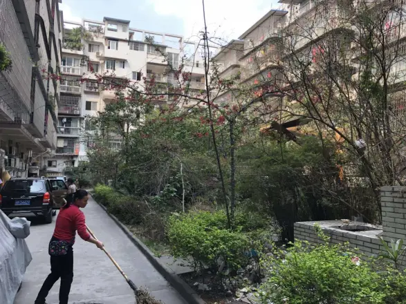 金洋花园实景图