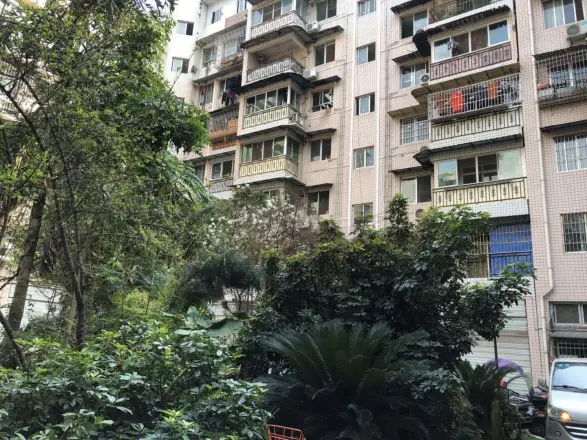金洋花园实景图