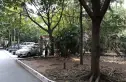 金洋花园实景图