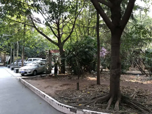 金洋花园实景图